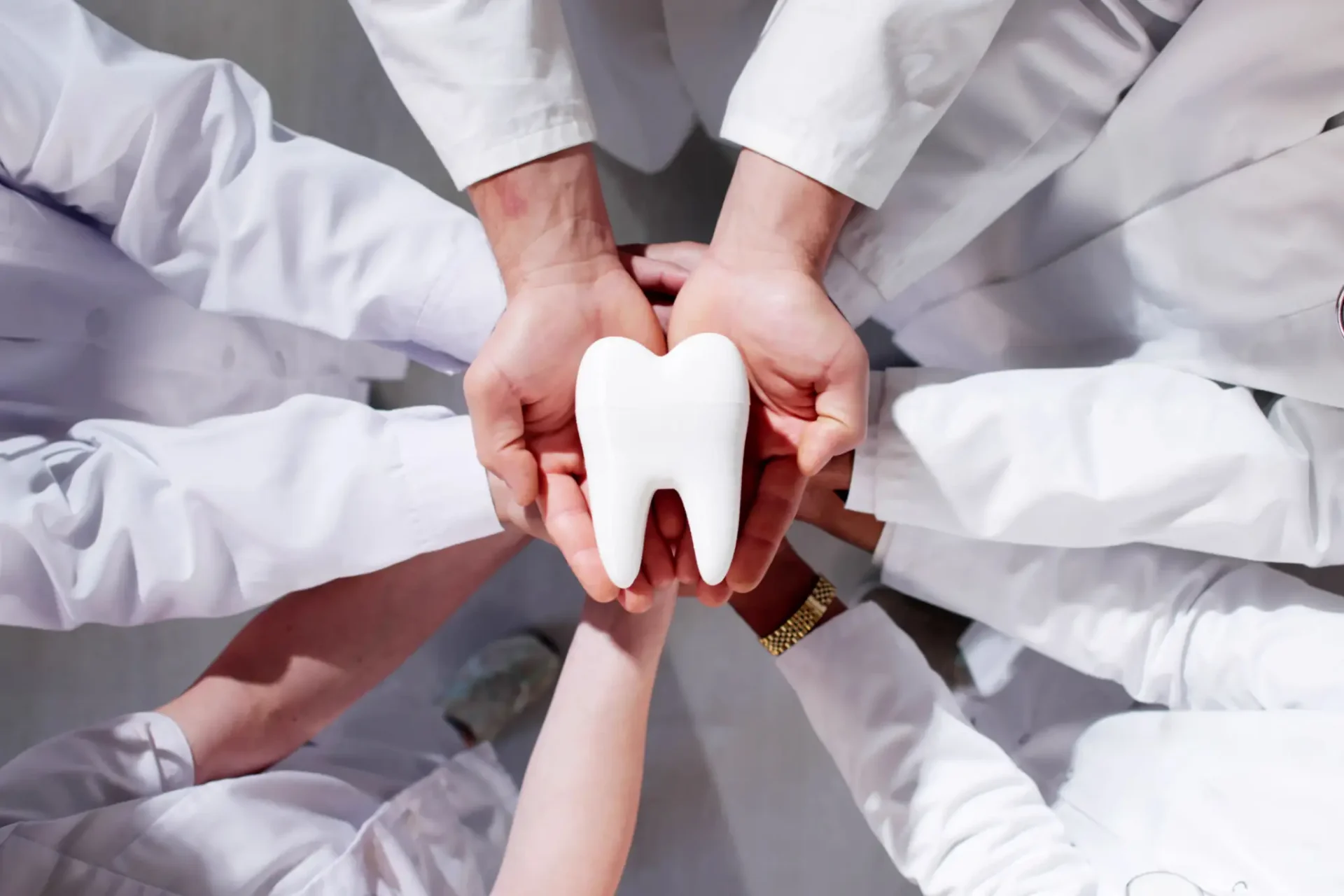 Hands holding a large tooth model together.
